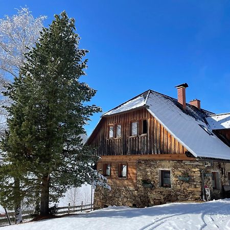 Apartments Im Almhaus Bachler Gundisch Экстерьер фото